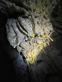 spéléologie concrétions Sigaud