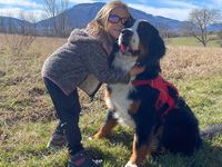 Label toutourisme dogfriendly