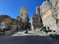 Toutourisme, accueil des chiens au château