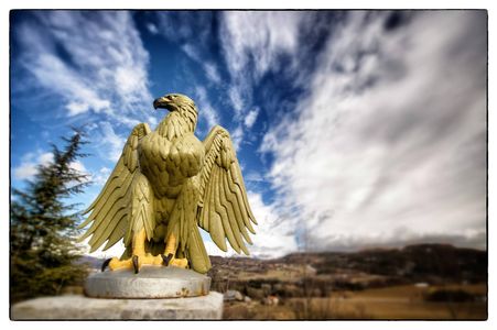 Eagle along the Route Napoleon Eagle along the Route Napoleon