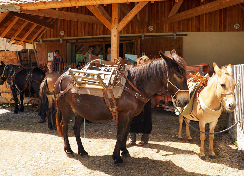 la Maison du Mulet - © Assoc. la Maison du Mulet