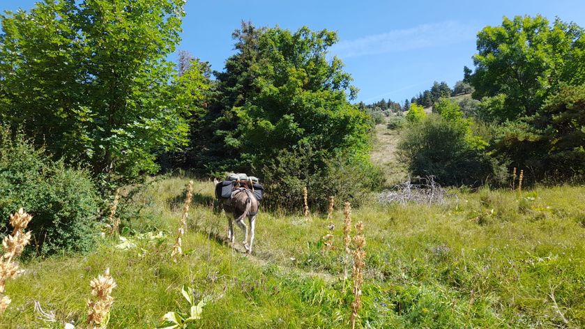 Randonnée bivouac - © A.Chenu