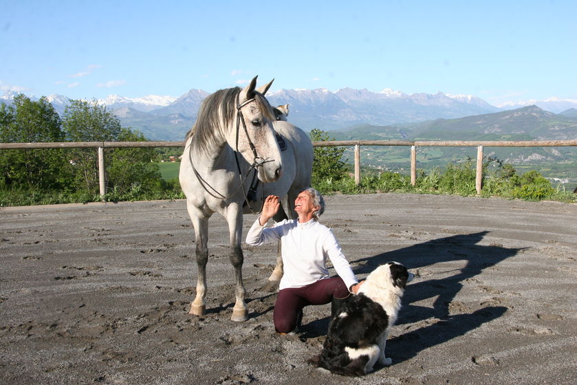 Cheval, chat, chien dans un cadre naturel magnifique ! - © LEONE Pierre