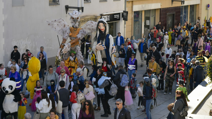 Exposition photos du Carnaval des Alpes 2026_Gap - © Club UAICF de Gap