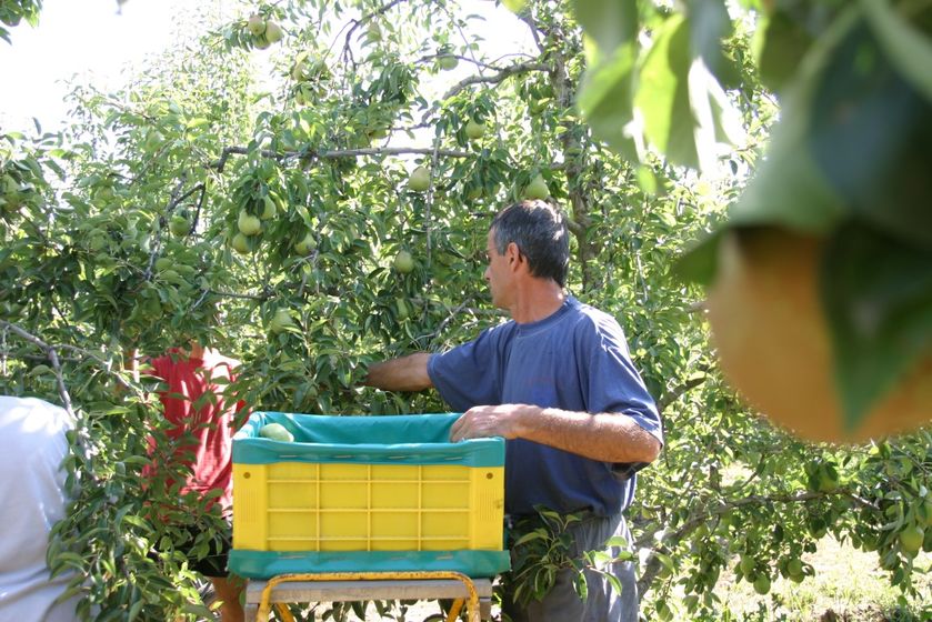 Domaine ST André 2018-3 - © P.Bilocq