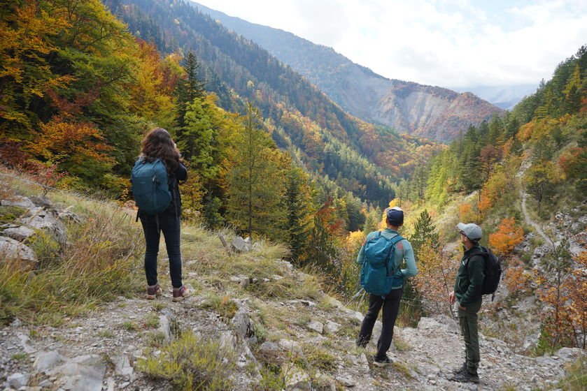 Rando immersive avec l'ONF dans la forêt d'exception du Bois du Chapitre / Cirque de Chaudun_Gap - © OT Terres de Gap
