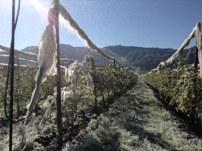 Domaine ST André 2018-2 - © P.Bilocq