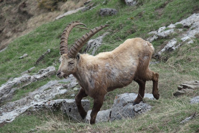 Infiniment-montagne 19 - © M Sonnet