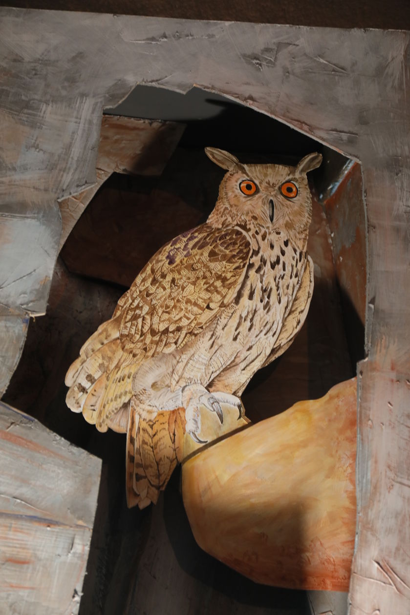 'Les animaux, la nuit' La Maison du Mulet - © Assoc. la Maison du Mulet