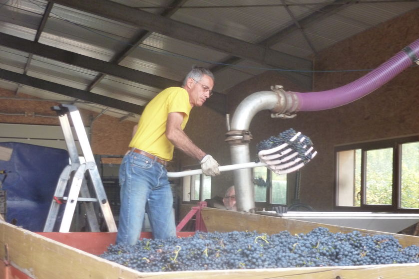 Domaine ST André - © P.Bilocq