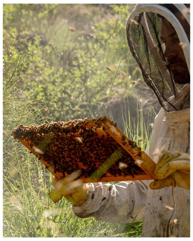 Valentin Thibaut - © TV Valentin Thibaut - © TV