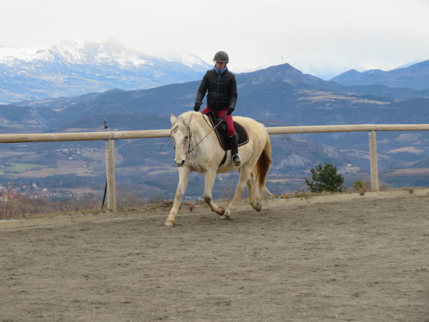 Extension d'encolure et allongement d'allure - © Giansetto Claudine