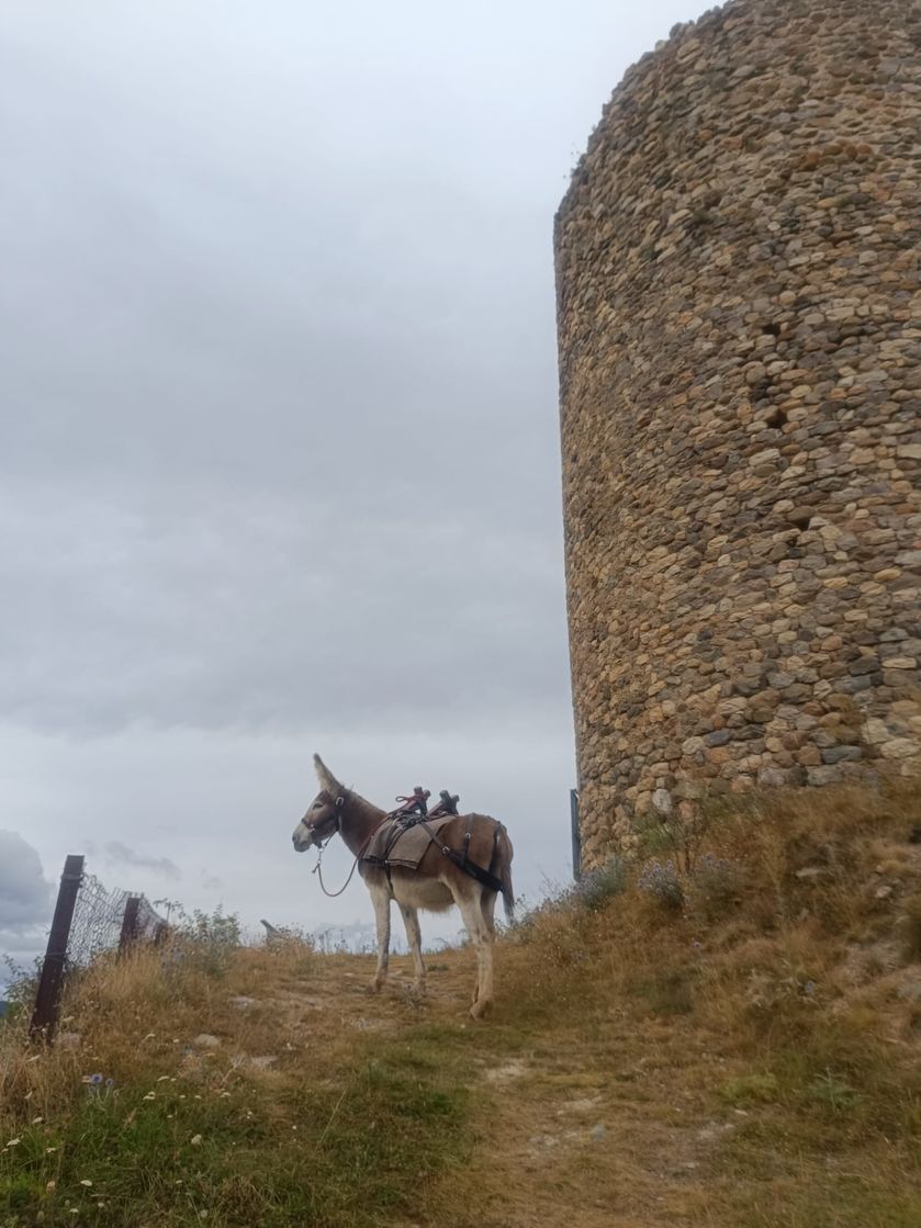 à la tour de La Batie Vieille - © A.Chenu