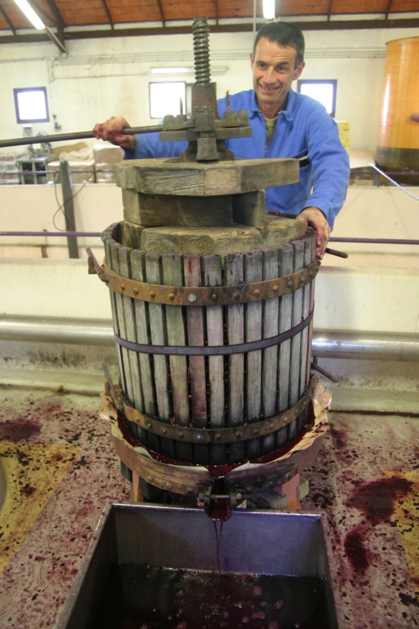 Domaine ST André 2018-6 - © P.Bilocq