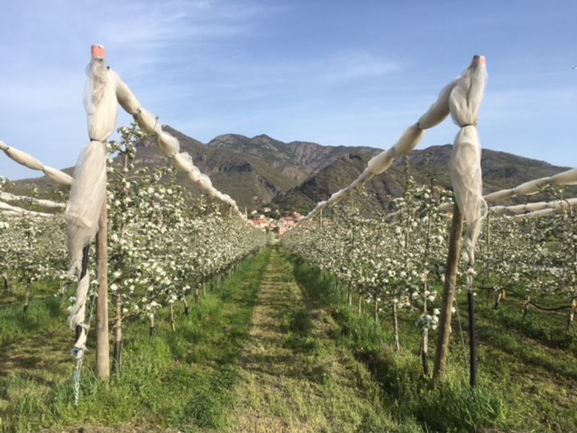 Domaine ST André - © P.Bilocq