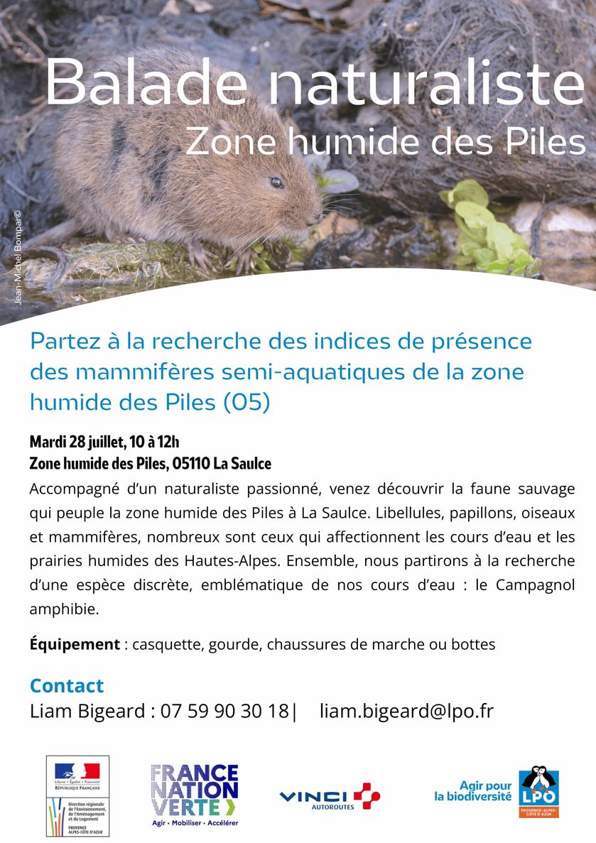 Affiche balade naturaliste ZH Piles-1-1.jpg