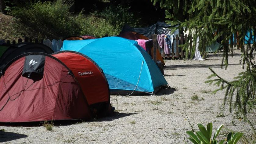 Visuel 1 - © le Chêne