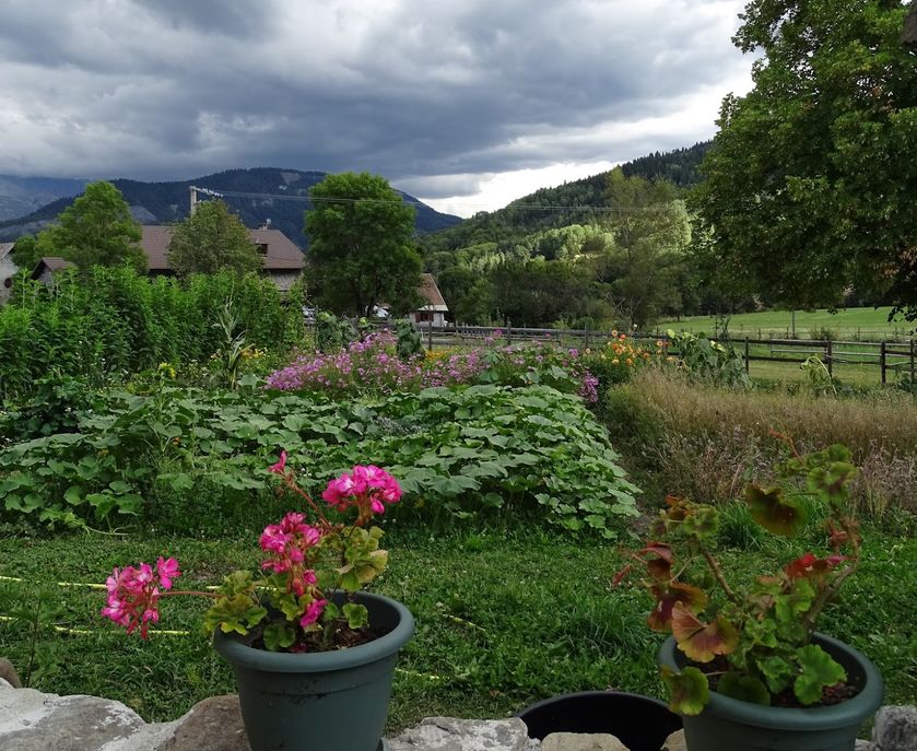 la Maison du Mulet - © Assoc.la Maison du Mulet