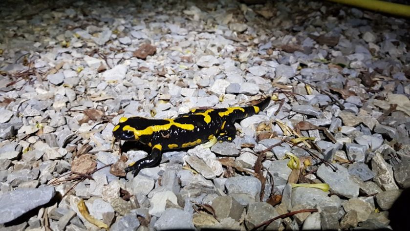 Infiniment-montagne 10 - © M Sonnet