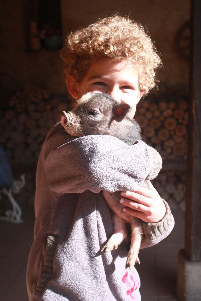 La Ferme du Col JARJAYES - © La Ferme du Col JARJAYES