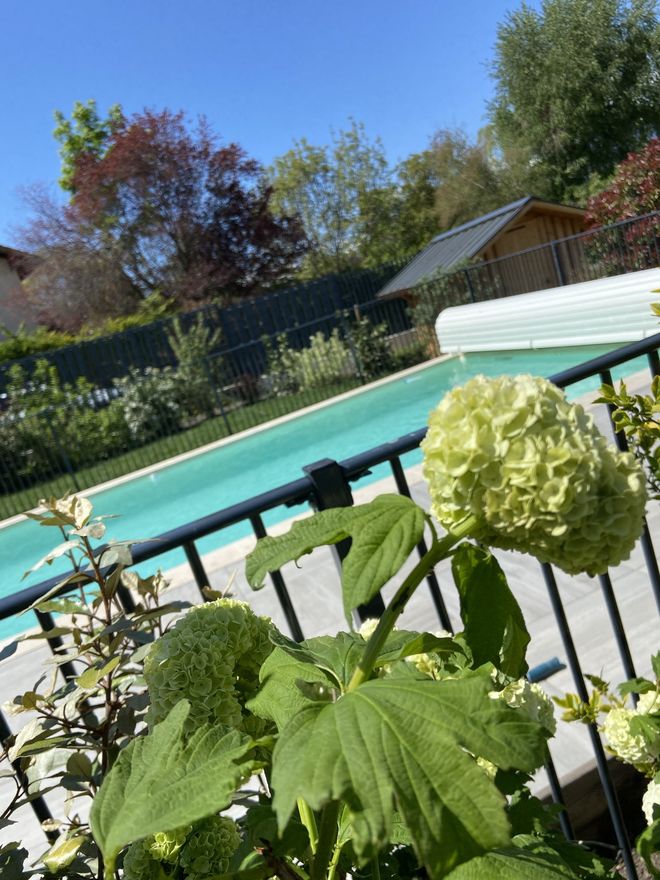 Terrasse - © A.B Terrasse - © A.B