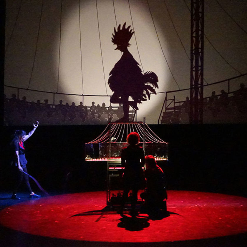 - © Les Ombres portées