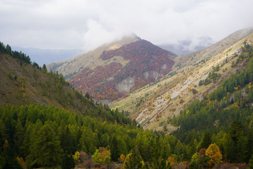 Rando immersive avec l'ONF dans la forêt d'exception du Bois du Chapitre / Cirque de Chaudun_Gap - © OT Terres de Gap