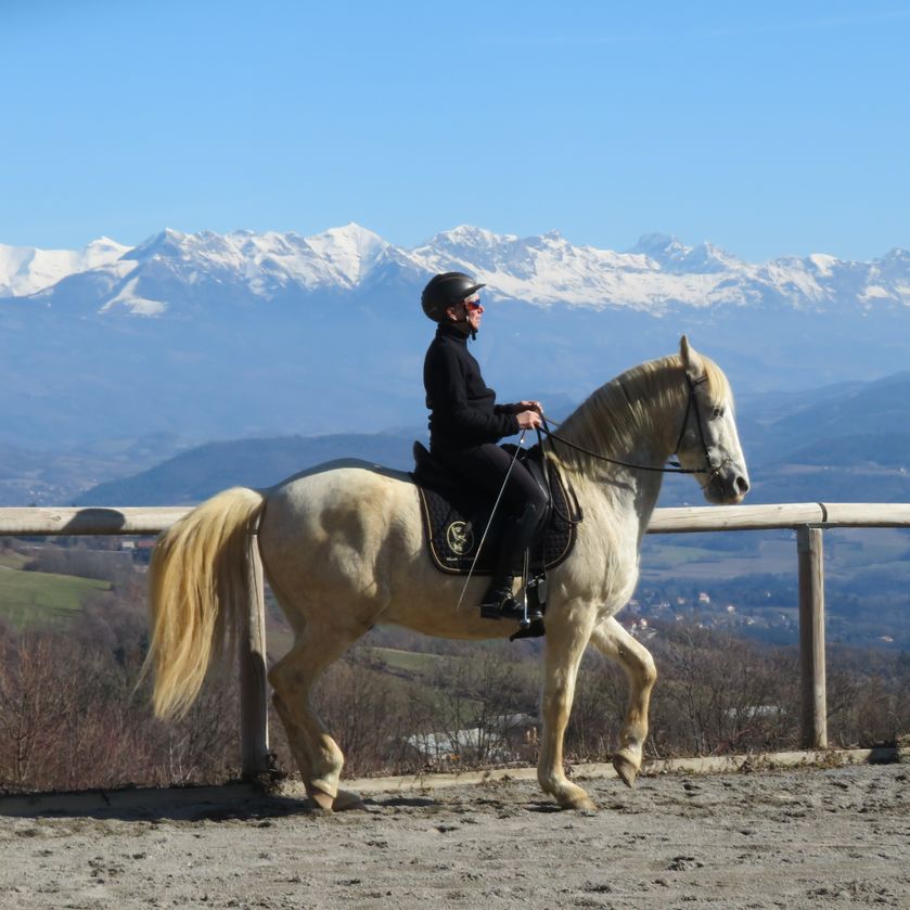 Centre équestre les chevaux du lac_Pelleautier - © Leone Pierre