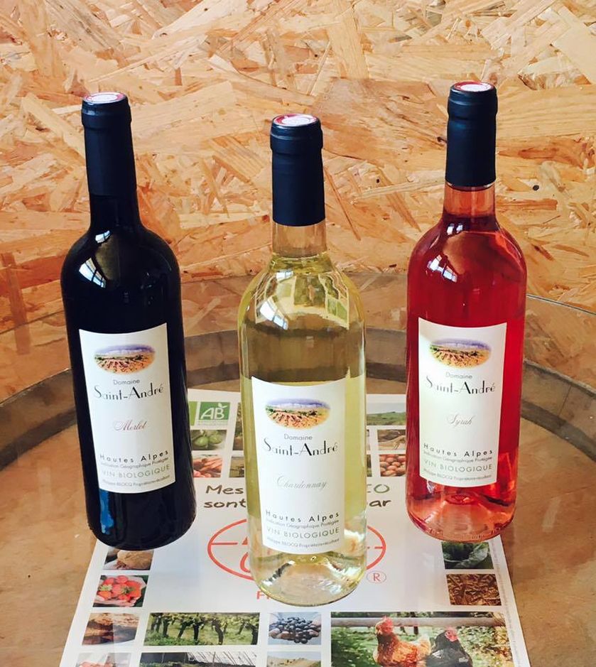 Domaine ST André - © P.Bilocq