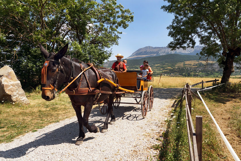 la Maison du Mulet - © Assoc. la Maison du Mulet