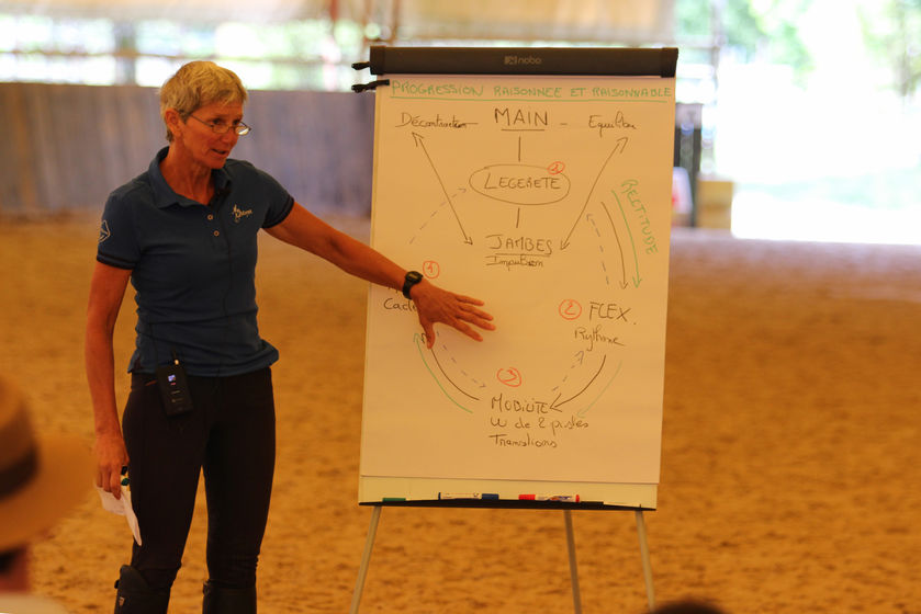 Cours théoriques - © EDL