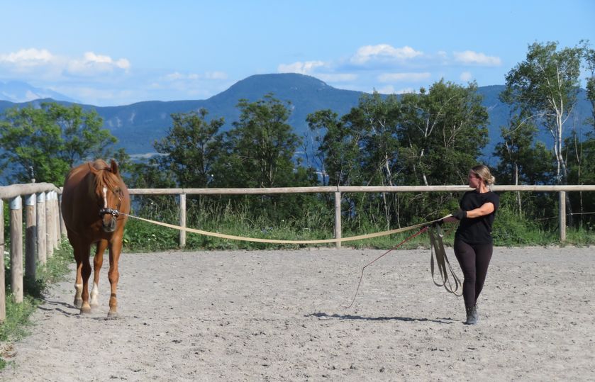 Travail à la longe - © Giansetto Claudine