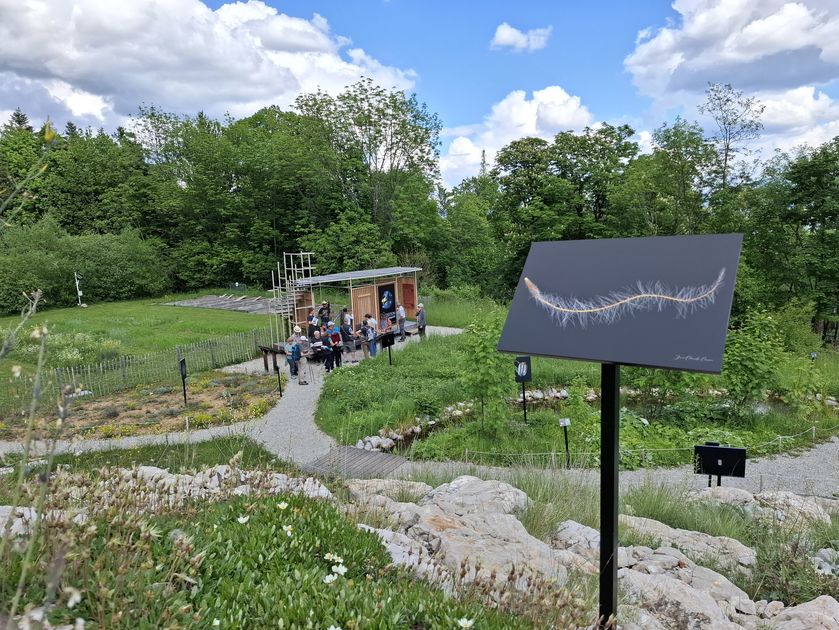 Exposition La Graine, en Grand !_Gap - © S. Vialatte - CBNA