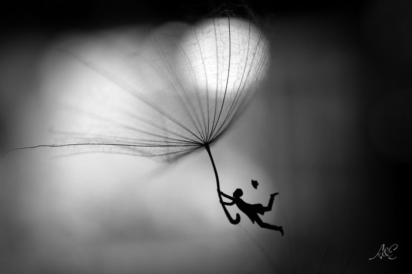 Le parapluie - © aude fruy et chloé fruy