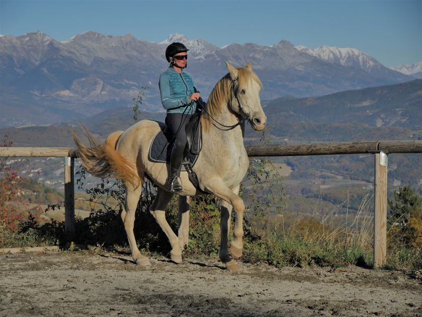 Etude du piaffé - © Tartarat Marie