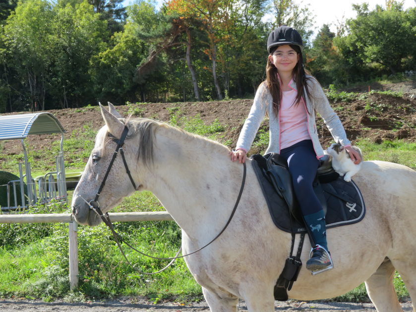 Parfois le chat profites du cours - © Giansetto Claudine