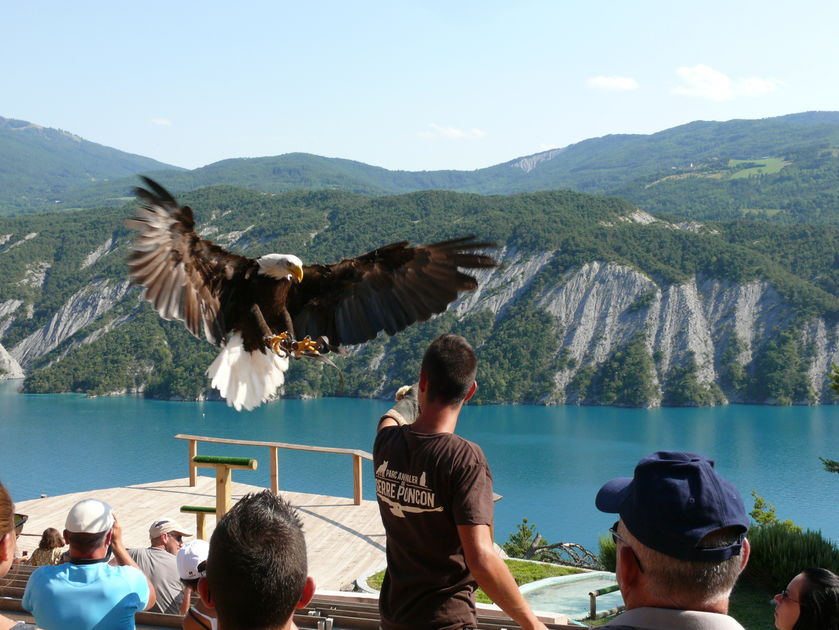 Parc Animalier de Serre-Ponçon LE SAUZE-DU-LAC - © Parc Animalier de Serre-Ponçon LE SAUZE-DU-LAC