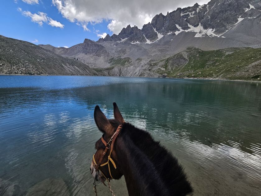 Les écuries d'Aloha_Neffes