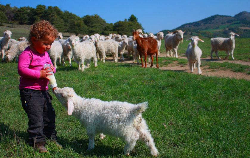 La Ferme du Col JARJAYES - © La Ferme du Col JARJAYES