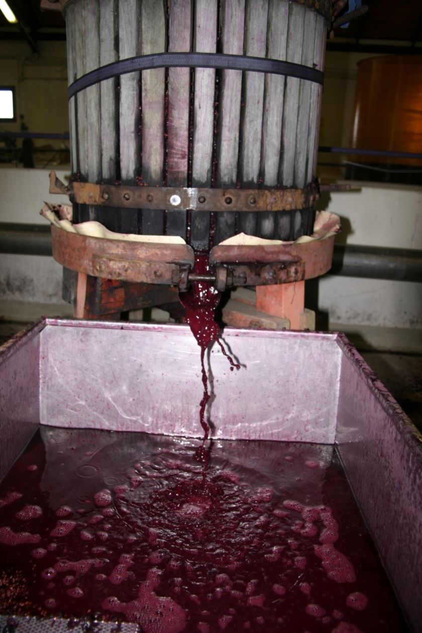 Domaine ST André 2018-7 - © P.Bilocq