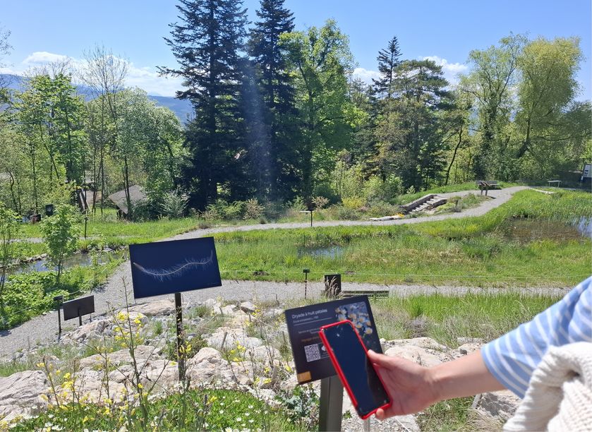 QR-code de Dryas - © S. Vialatte CBNA