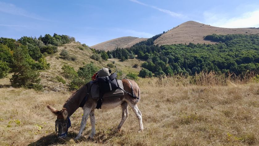 Randonnée bivouac - © A.Chenu