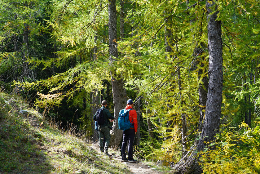 Rando immersive avec l'ONF dans la forêt d'exception du Bois du Chapitre / Cirque de Chaudun_Gap - © OT Terres de Gap