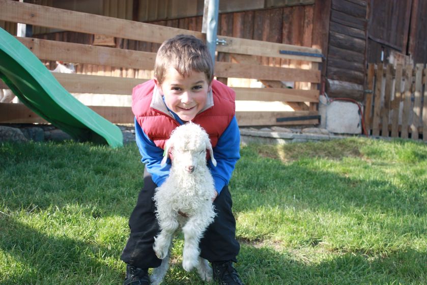 La Ferme du Col JARJAYES - © La Ferme du Col JARJAYES
