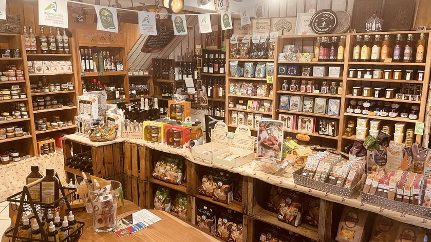 IMG_2319.jpeg - © BERTRAND Pascal