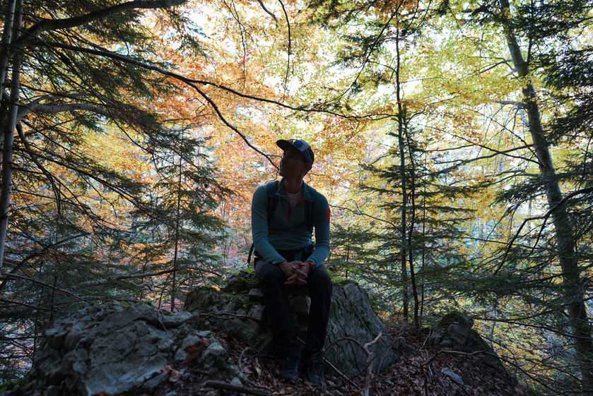 Rando immersive avec l'ONF dans la forêt d'exception du Bois du Chapitre / Cirque de Chaudun_Gap - © OT Terres de Gap