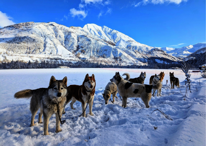 Travel Dog_Ancelle - © Travel Dog