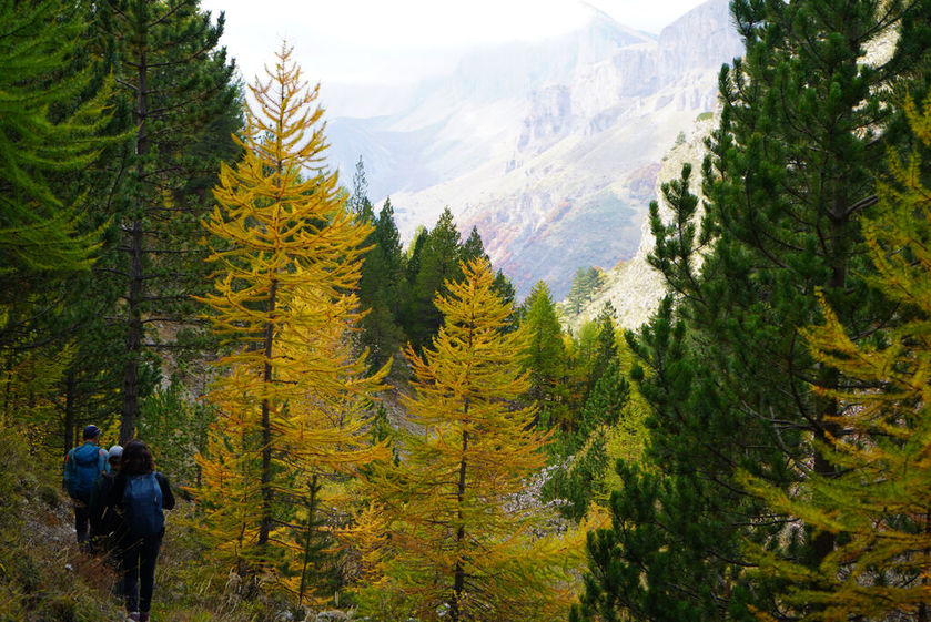 Rando immersive avec l'ONF dans la forêt d'exception du Bois du Chapitre / Cirque de Chaudun_Gap - © OT Terres de Gap