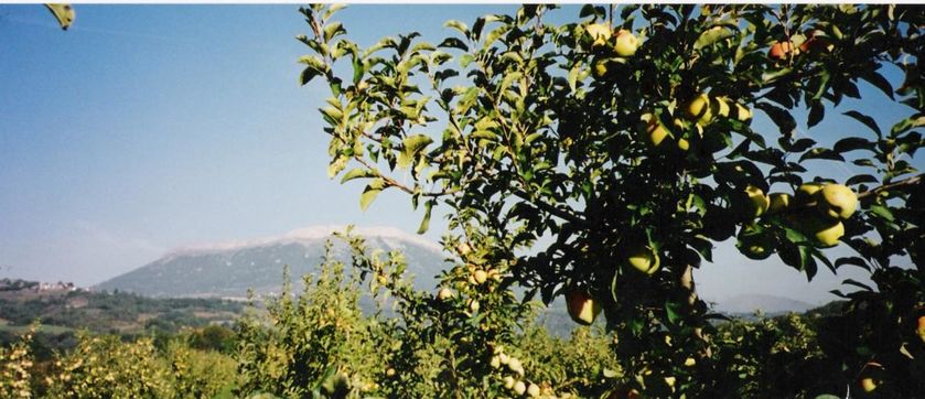 Domaine St André - © P.Bilocq