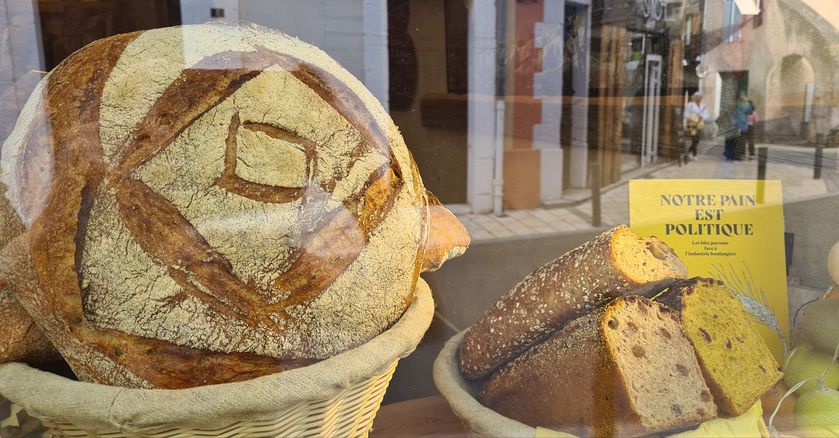 Pain politique - © Laurent PELHÂTE